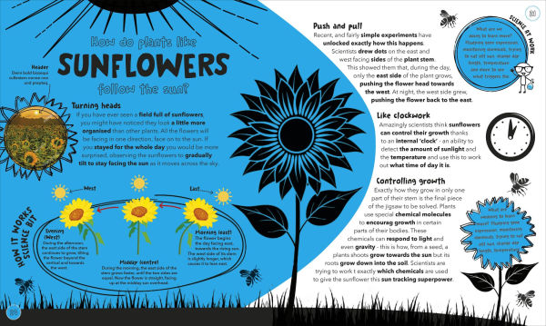 Things Scientists Don't Know Yet: The Unsolved Mysteries of Science