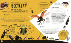 Alternative view 6 of Things Scientists Don't Know Yet: The Unsolved Mysteries of Science