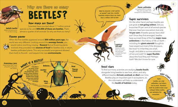 Things Scientists Don't Know Yet: The Unsolved Mysteries of Science