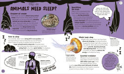 Alternative view 8 of Things Scientists Don't Know Yet: The Unsolved Mysteries of Science