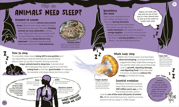 Things Scientists Don't Know Yet: The Unsolved Mysteries of Science