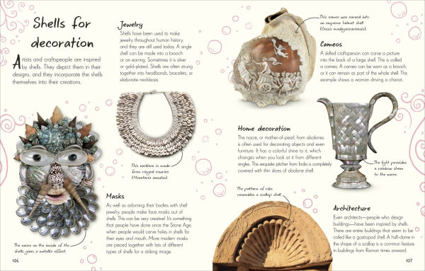 An Anthology of Shells: A Collection of Fascinating Shells from Around the World