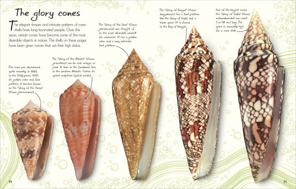 Shell Collecting —An Illustrated History Shell Collecting: An Illustrated History - Kristalle, est. 1971