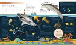 Alternative view 7 of My First Encyclopedia: Introduce Little Ones to the World of Learning