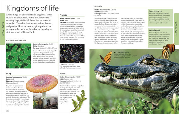 Geography: A Visual Encyclopedia