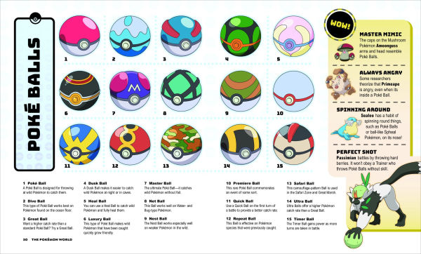 Pokemon Big Book of Facts