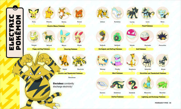 Pokemon Big Book of Facts