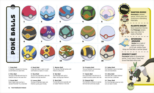 Pokemon Big Book of Facts