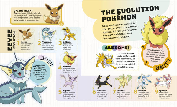 Pokemon Big Book of Facts