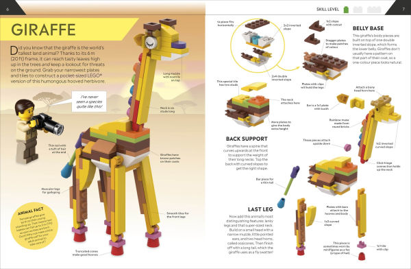 LEGO How to Build Everything!