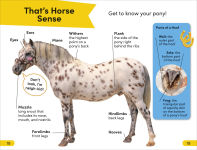 Alternative view 3 of DK Super Readers Level 2 Prancing Pony