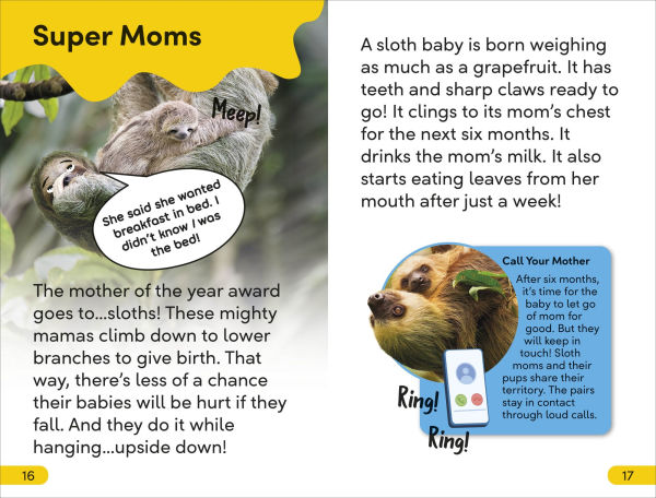 DK Super Readers Level 2 Sassy Sloth
