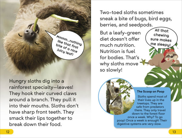 DK Super Readers Level 2 Sassy Sloth