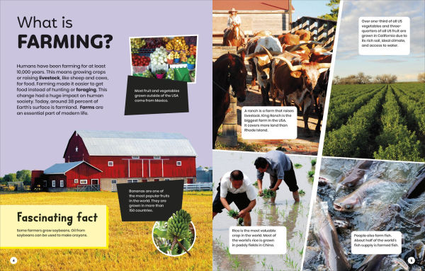 DK Super Planet Farming and Food Security