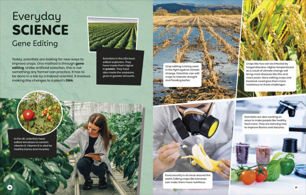 DK Super Planet Farming and Food Security