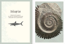 Alternative view 2 of Dinosaurs and Other Prehistoric Life Poster Book: With More Than 30 Reversible Tear-Out Posters