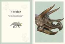 Alternative view 4 of Dinosaurs and Other Prehistoric Life Poster Book: With More Than 30 Reversible Tear-Out Posters