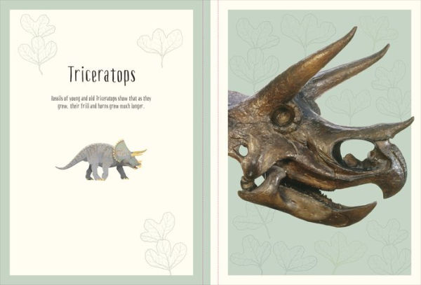 Dinosaurs and Other Prehistoric Life Poster Book: With More Than 30 Reversible Tear-Out Posters