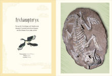 Alternative view 5 of Dinosaurs and Other Prehistoric Life Poster Book: With More Than 30 Reversible Tear-Out Posters
