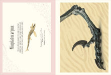 Alternative view 7 of Dinosaurs and Other Prehistoric Life Poster Book: With More Than 30 Reversible Tear-Out Posters