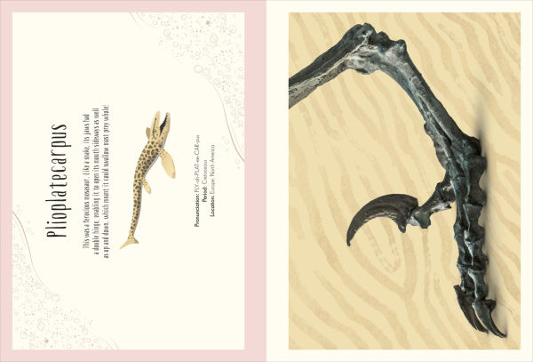 Dinosaurs and Other Prehistoric Life Poster Book: With More Than 30 Reversible Tear-Out Posters