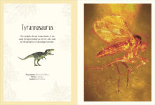 Alternative view 8 of Dinosaurs and Other Prehistoric Life Poster Book: With More Than 30 Reversible Tear-Out Posters
