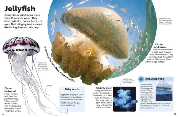 Eyewonder Oceans: Open Your Eyes to a World of Discovery