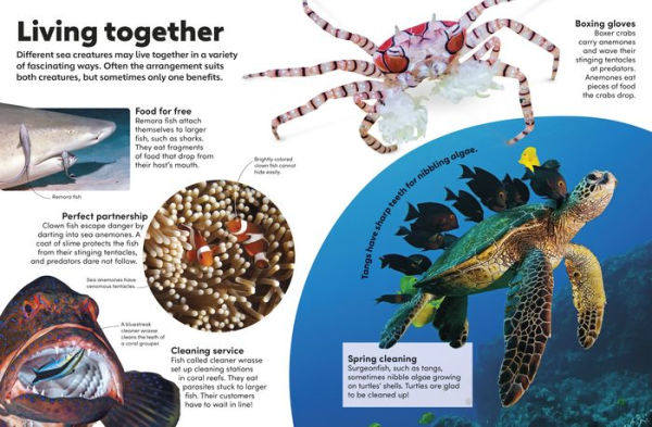 Eyewonder Oceans: Open Your Eyes to a World of Discovery