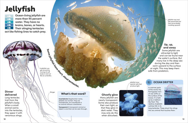 Eyewonder Oceans: Open Your Eyes to a World of Discovery