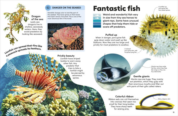 Eyewonder Oceans: Open Your Eyes to a World of Discovery