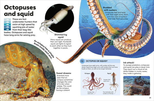 Eyewonder Oceans: Open Your Eyes to a World of Discovery