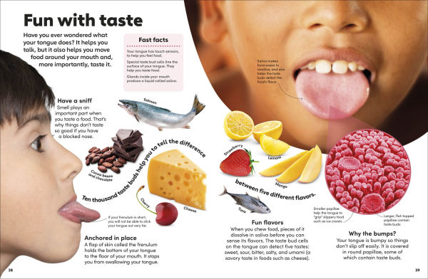 Eyewonder Human Body: Open Your Eyes to a World of Discovery