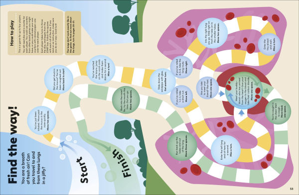 Eyewonder Human Body: Open Your Eyes to a World of Discovery