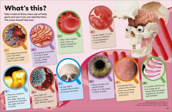 Eyewonder Human Body: Open Your Eyes to a World of Discovery