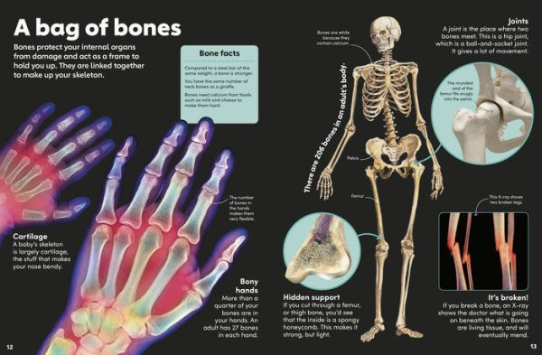 Eyewonder Human Body: Open Your Eyes to a World of Discovery