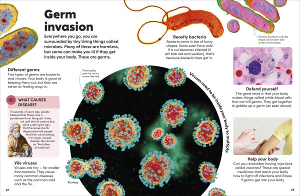 Eyewonder Human Body: Open Your Eyes to a World of Discovery