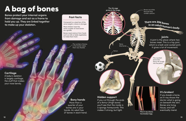 Eyewonder Human Body: Open Your Eyes to a World of Discovery