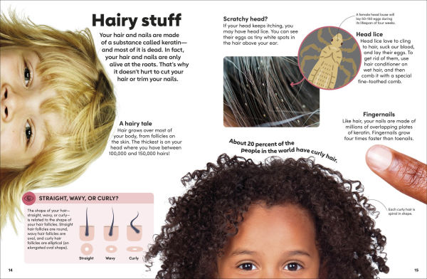 Eyewonder Human Body: Open Your Eyes to a World of Discovery