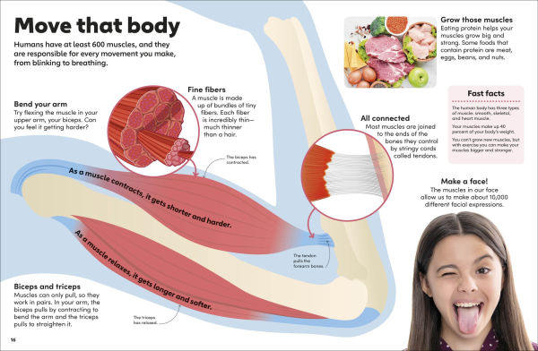 Eyewonder Human Body: Open Your Eyes to a World of Discovery