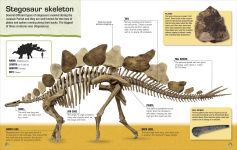 Alternative view 2 of Make Your Own Stegosaurus