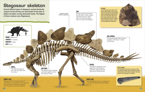 Make Your Own Stegosaurus