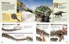 Alternative view 3 of Make Your Own Stegosaurus
