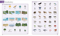 Alternative view 3 of English for Everyone Course Book Level 3 Intermediate: A Complete Self-Study Program