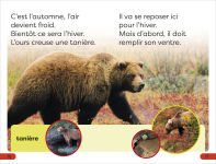 Alternative view 3 of DK Super Readers Pre-level French Translation A Bear's Tale - Une Histoire dâ?Tours