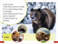 Alternative view 4 of DK Super Readers Pre-level French Translation A Bear's Tale - Une Histoire dâ?Tours