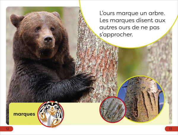 DK Super Readers Pre-level French Translation A Bear's Tale - Une Histoire dâ?Tours
