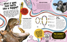 Alternative view 4 of What If... You Didn't Make Snot?: And Other Amazing Human Body Questions
