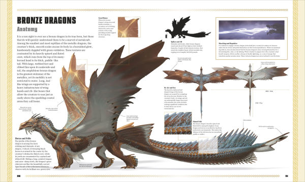 Dungeons and Dragons The Book of Dragons