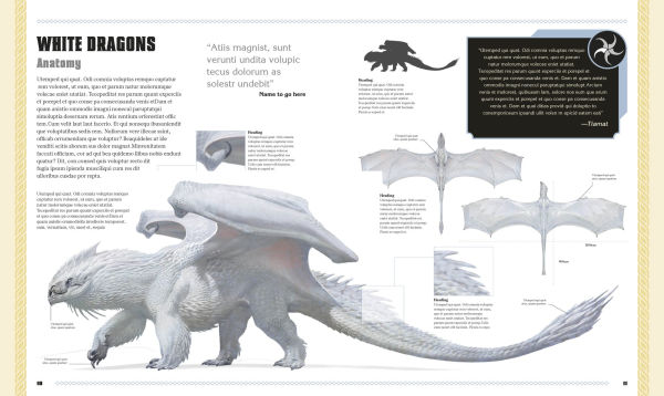 Dungeons and Dragons The Book of Dragons