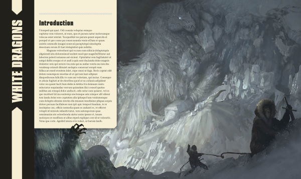 Dungeons and Dragons The Book of Dragons